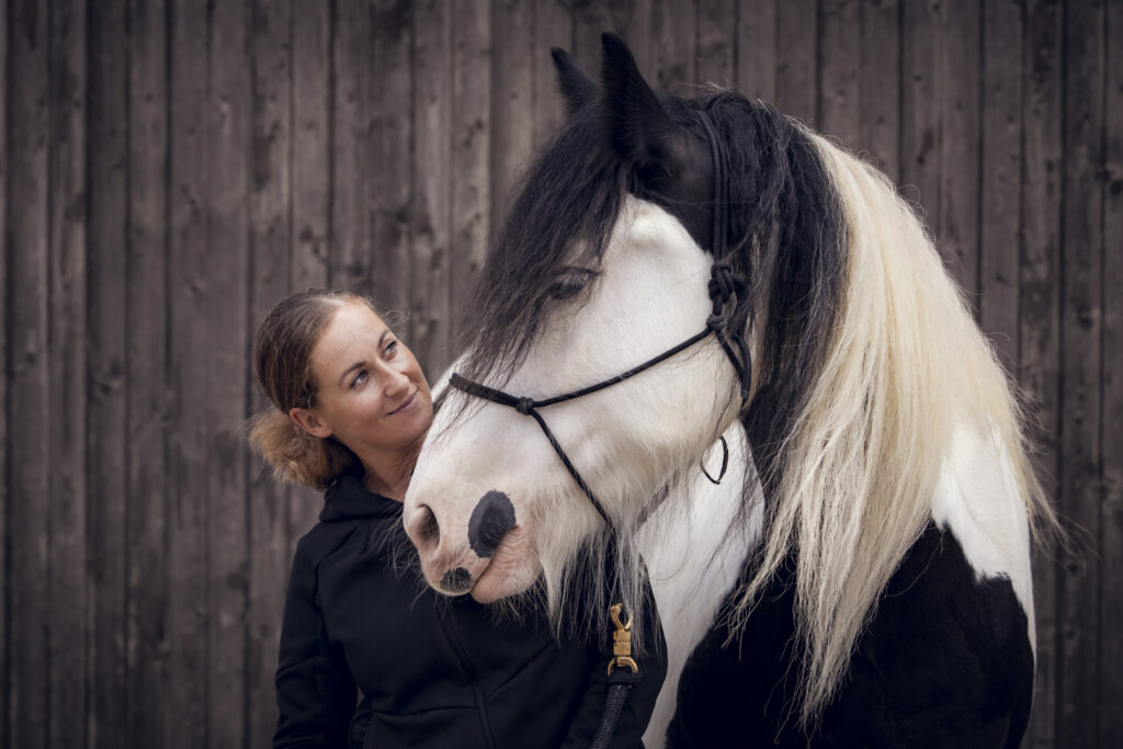 verladetraining pferde happyhorsemanship