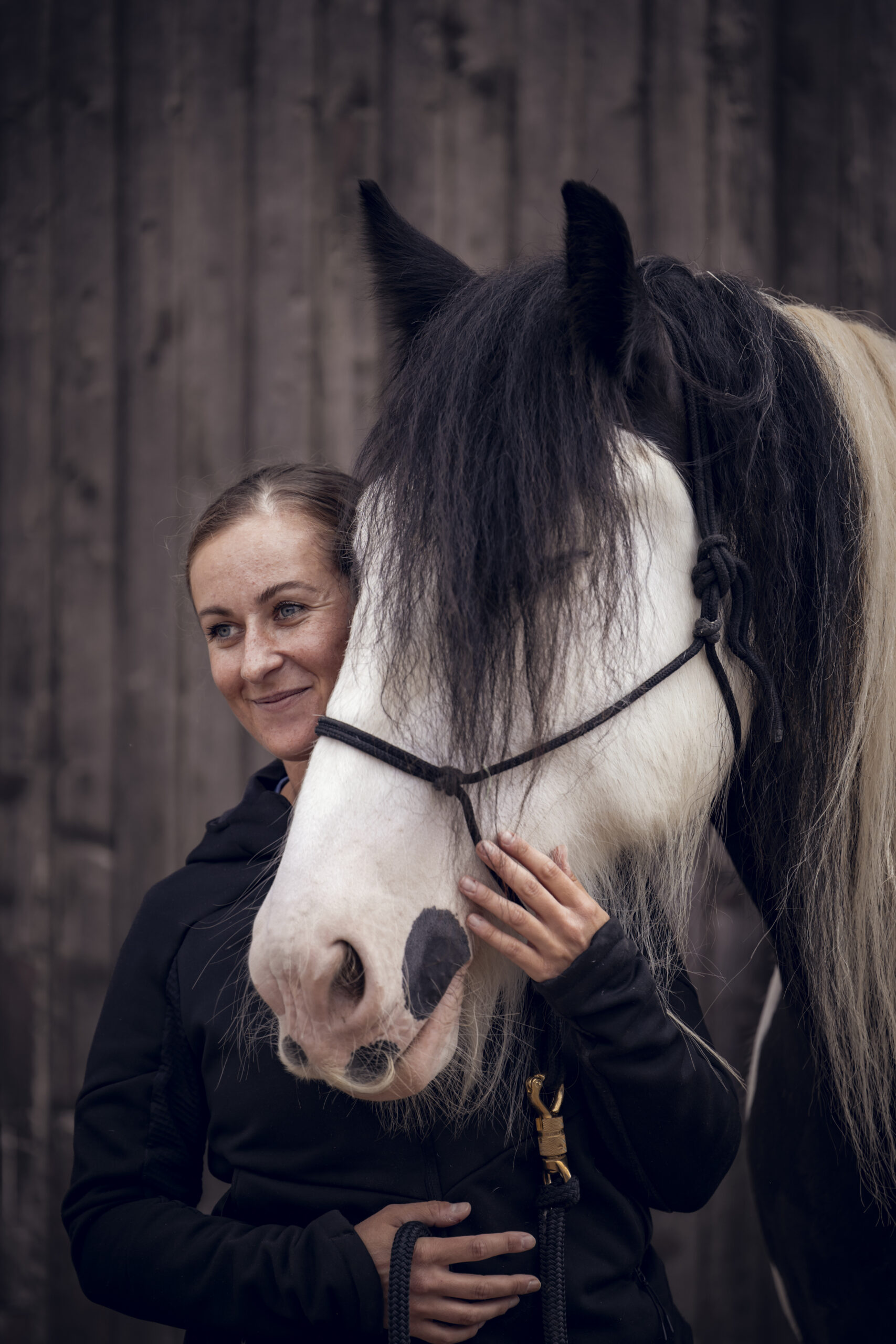 horsemanship ruhe konsequenz training scaled