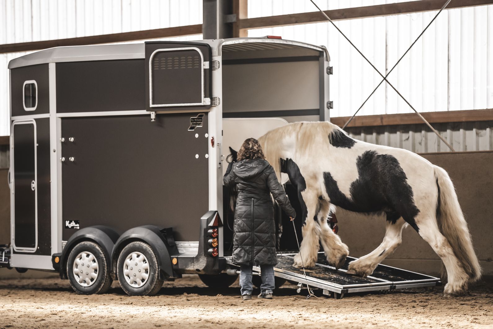 verladetraining horsemanship westerwald 2