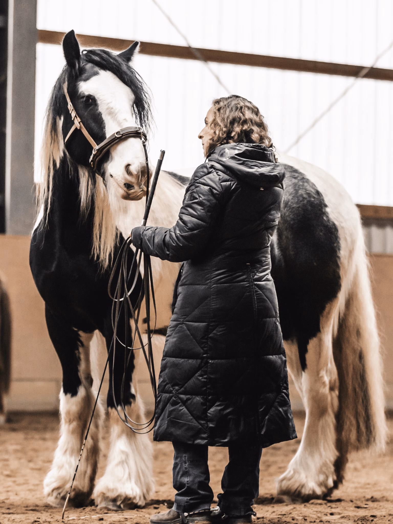 Longieren, Circling-Game und die Angst vor der Salatschleuder 4 Longieren, Circling-Game und die Angst vor der Salatschleuder