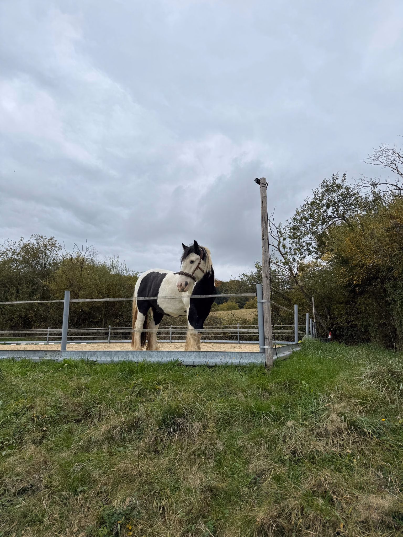Grundlagen meiner Arbeit 10 Grundlagen meiner Arbeit